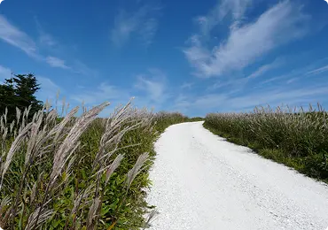 写真：宗谷丘陵