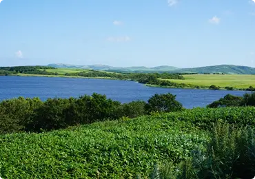 写真：メグマ沼自然公園