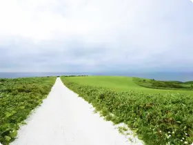 写真:北海道の自然