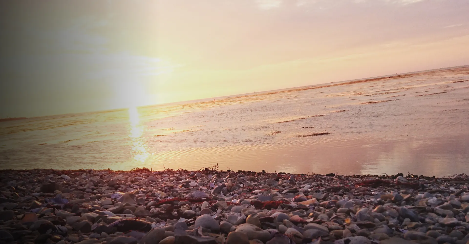 写真：海岸風景